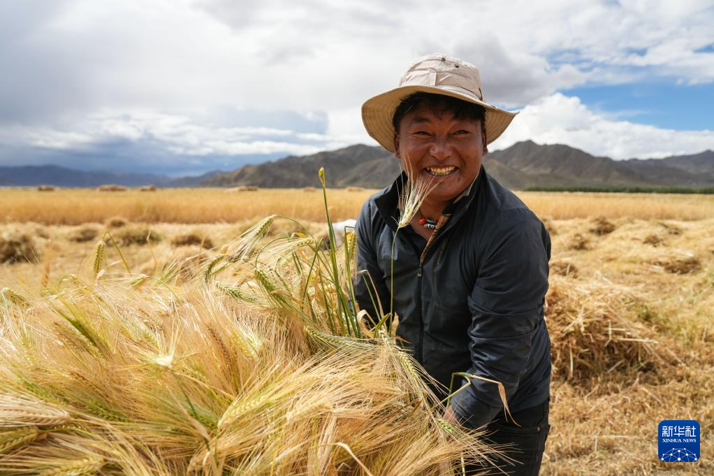 
南京军区总医院黄牛代挂号电话票贩子号贩子网上预约挂号,住院检查加快,“西藏粮仓”奏响丰收曲