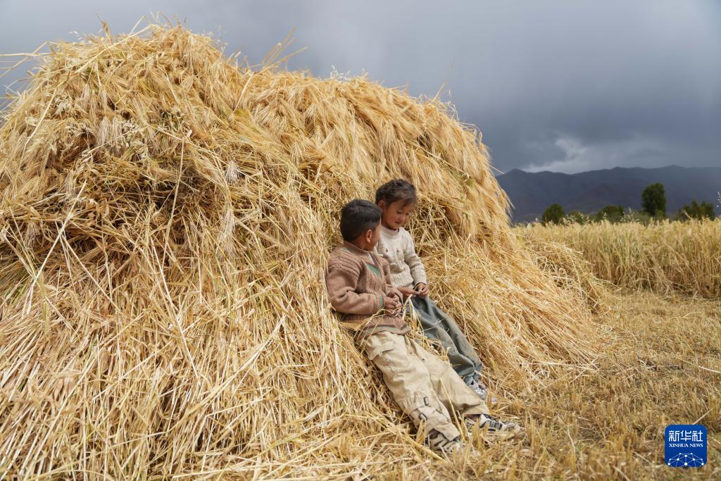 
南京军区总医院黄牛代挂号电话票贩子号贩子网上预约挂号,住院检查加快,“西藏粮仓”奏响丰收曲
