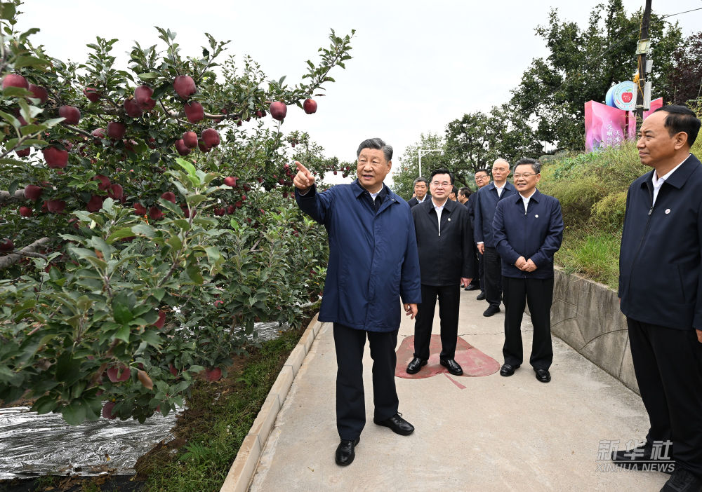 
北京安定医院黄牛代挂号电话票贩子号贩子网上预约挂号,住院检查加快,习近平在陕西宝鸡市和甘肃天水市考察调研