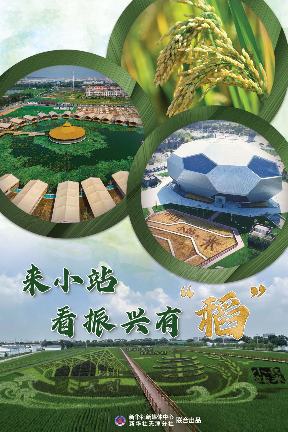 
中山大学附属第三医院黄牛代挂号电话票贩子号贩子网上预约挂号,住院检查加快,从活力看潜力｜来小站看振兴有“稻”