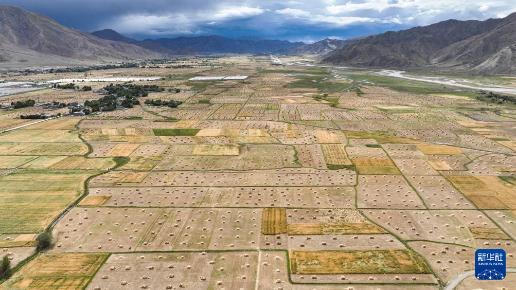 
南京军区总医院黄牛代挂号电话票贩子号贩子网上预约挂号,住院检查加快,“西藏粮仓”奏响丰收曲