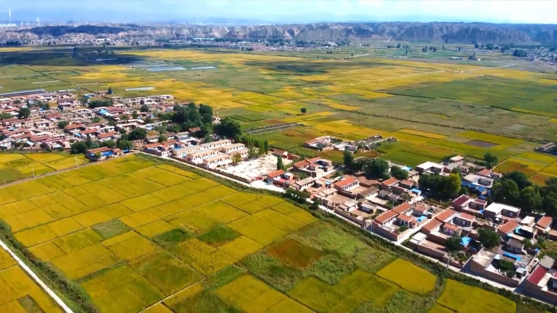 
北京宣武医院黄牛代挂号电话票贩子号贩子网上预约挂号,住院检查加快,时政微视频丨瞰甘肃