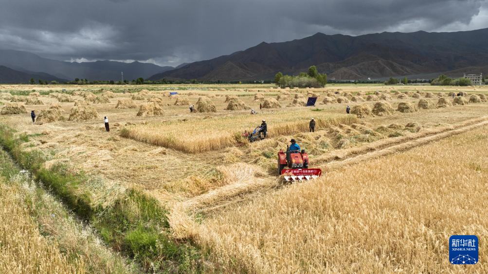 
南京军区总医院黄牛代挂号电话票贩子号贩子网上预约挂号,住院检查加快,“西藏粮仓”奏响丰收曲