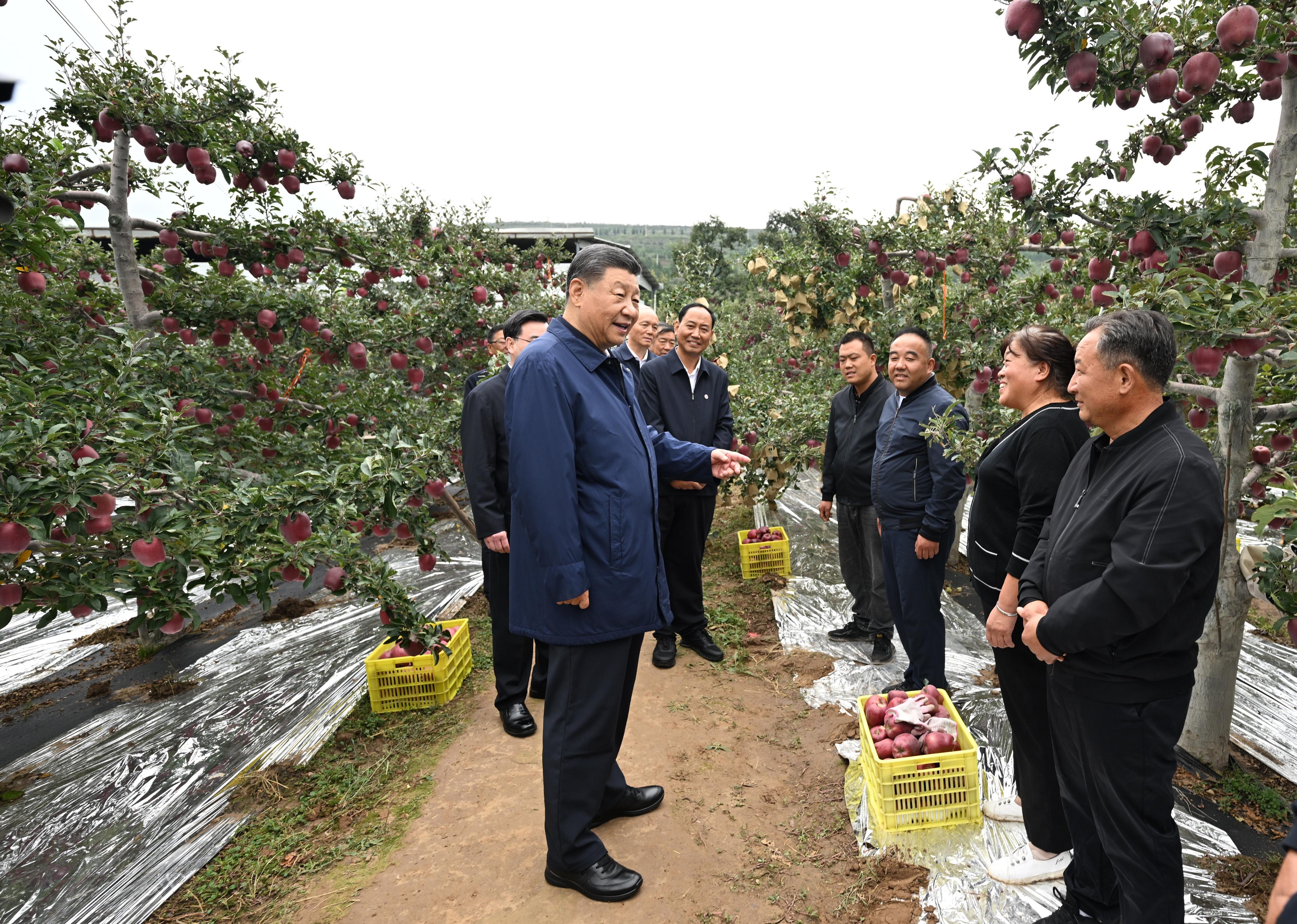 
北京安定医院黄牛代挂号电话票贩子号贩子网上预约挂号,住院检查加快,习近平在甘肃考察时强调 深化改革勇于创新苦干实干富民兴陇 奋力谱写中国式现代化甘肃篇章 途中在陕西宝鸡考察