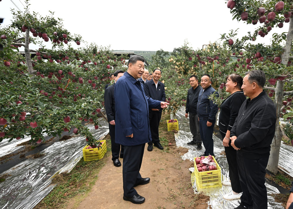
东部战区总医院黄牛代挂号电话票贩子号贩子网上预约挂号,住院检查加快,第一观察·瞬间 | 小苹果大情怀
