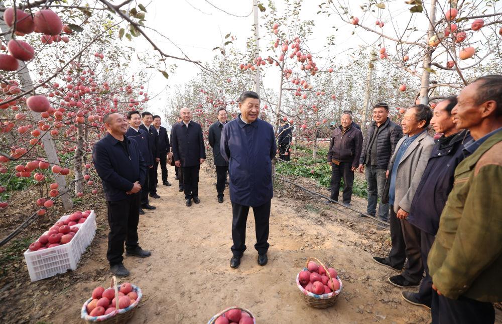 
东部战区总医院黄牛代挂号电话票贩子号贩子网上预约挂号,住院检查加快,第一观察·瞬间 | 小苹果大情怀