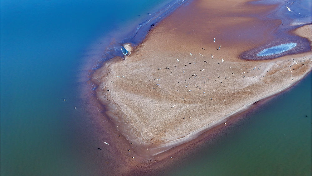 
天津肿瘤医院黄牛代挂号电话票贩子号贩子网上预约挂号,住院检查加快,镜观·领航｜三次座谈会，为了黄河永远造福中华民族