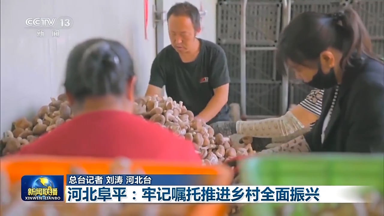 
中山大学中山眼科中心黄牛代挂号电话票贩子号贩子网上预约挂号,住院检查加快,奋进强国路 阔步新征程·老区行丨河北阜平：牢记嘱托推进乡村全面振兴
