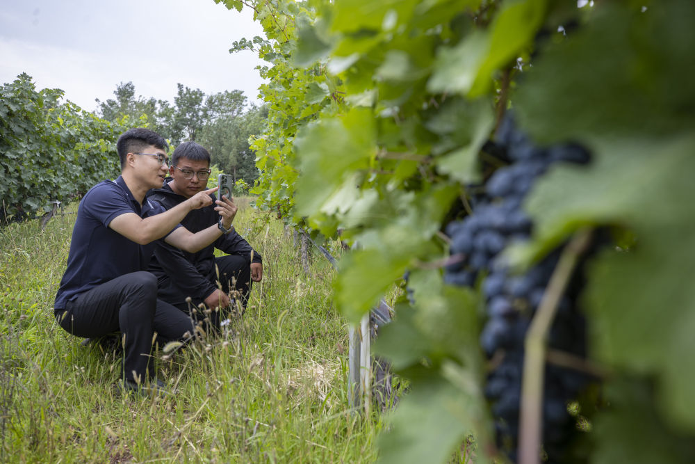 
天津肿瘤医院黄牛代挂号电话票贩子号贩子网上预约挂号,住院检查加快,镜观·领航｜三次座谈会，为了黄河永远造福中华民族