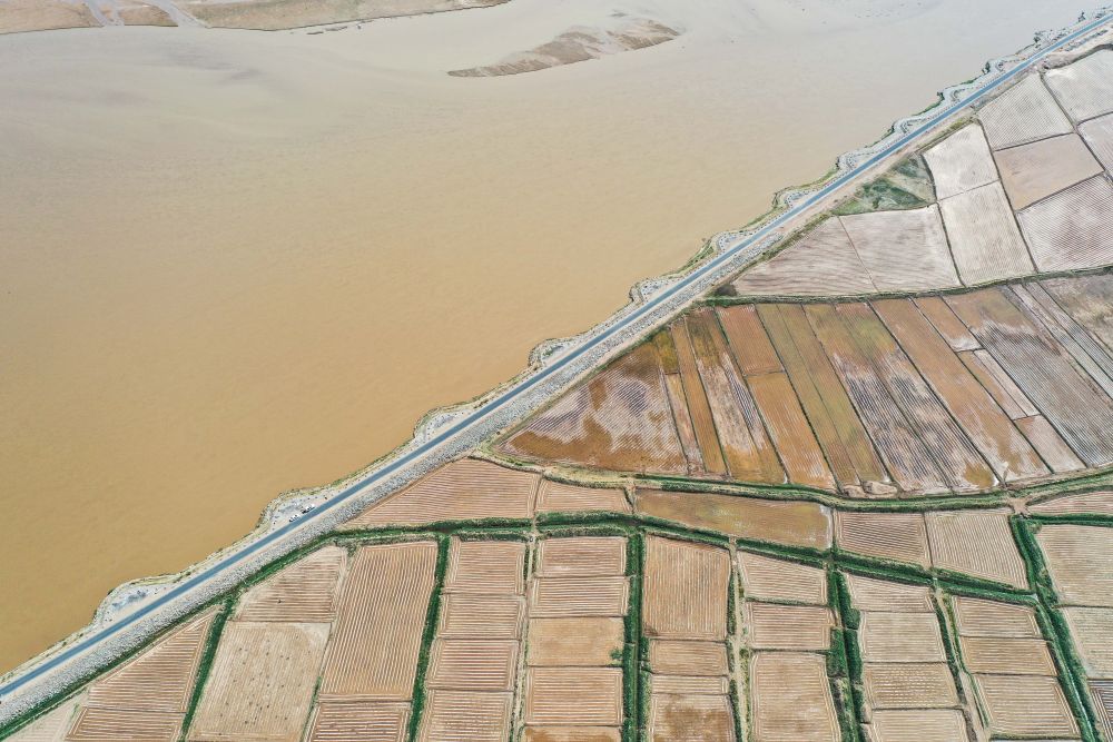 
天津肿瘤医院黄牛代挂号电话票贩子号贩子网上预约挂号,住院检查加快,镜观·领航｜三次座谈会，为了黄河永远造福中华民族