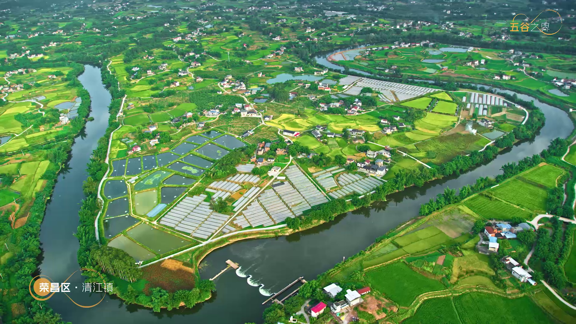 
北京肿瘤医院黄牛代挂号电话票贩子号贩子网上预约挂号,住院检查加快,文化中国行｜2024《鸟瞰新重庆》 “瞰”见世界的重庆