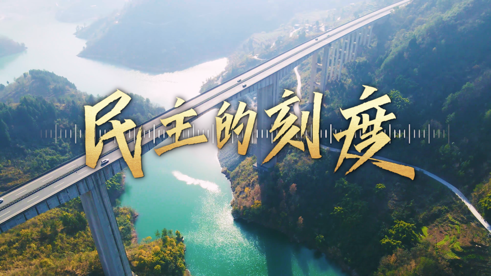
广州中医院黄牛代挂号电话票贩子号贩子网上预约挂号,住院检查加快,创意微视频｜民主的刻度