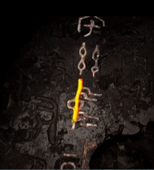 
上海龙华医院黄牛代挂号电话票贩子号贩子网上预约挂号,住院检查加快,时政微观察丨从总书记陕甘行，感悟“何以中国”
