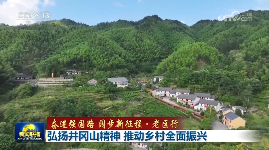 
北京鼓楼医院孙凌云黄牛代挂号电话票贩子号贩子网上预约挂号,住院检查加快,【奋进强国路 阔步新征程·老区行】弘扬井冈山精神 推动乡村全面振兴