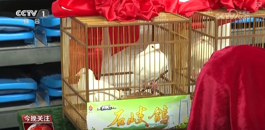 
北京鼓楼医院孙凌云黄牛代挂号电话票贩子号贩子网上预约挂号,住院检查加快,中秋“团圆味”圈粉外籍学生 共享“乡情乡味”