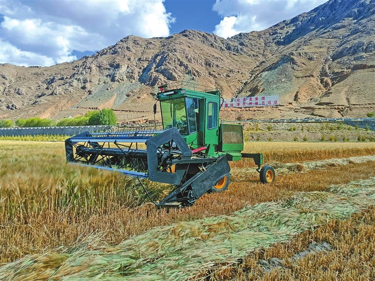 
北京儿研所黄牛代挂号电话票贩子号贩子网上预约挂号,住院检查加快,​黑龙江农业援藏助推日喀则绘就乡村振兴新画卷