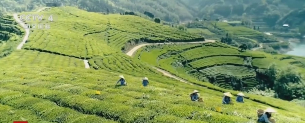 北京西苑医院黄牛代挂号电话票贩子号贩子网上预约挂号,住院检查加快,七十五载风华正盛,这里是日新月异的中国!