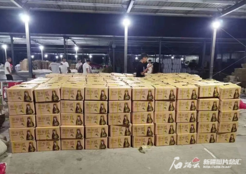 
北京大学第三医院黄牛代挂号电话票贩子号贩子网上预约挂号,住院检查加快,新疆哪些鲜果快递量达千吨级 你可知道？