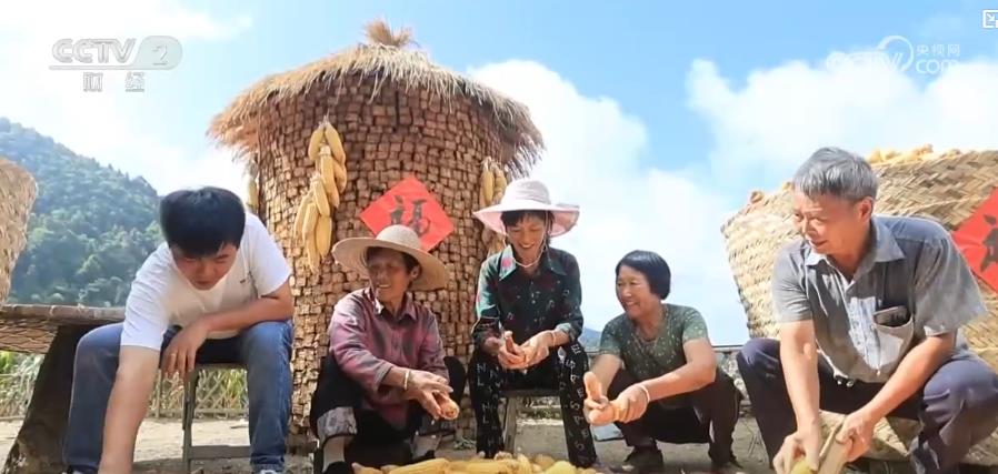 
杭州各大医院黄牛代挂号电话票贩子号贩子网上预约挂号,住院检查加快,秋风起，“晒秋”忙：五彩农作绘就丰收梦，晒出一年好光景