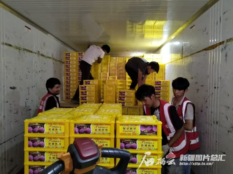 
北京大学第三医院黄牛代挂号电话票贩子号贩子网上预约挂号,住院检查加快,新疆哪些鲜果快递量达千吨级 你可知道？