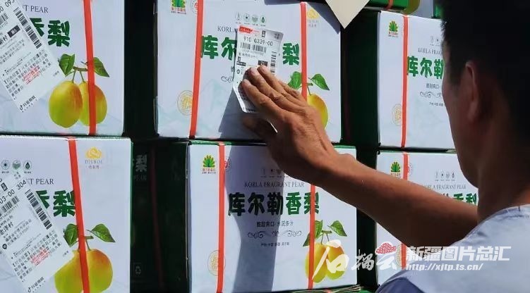 
北京大学第三医院黄牛代挂号电话票贩子号贩子网上预约挂号,住院检查加快,新疆哪些鲜果快递量达千吨级 你可知道？