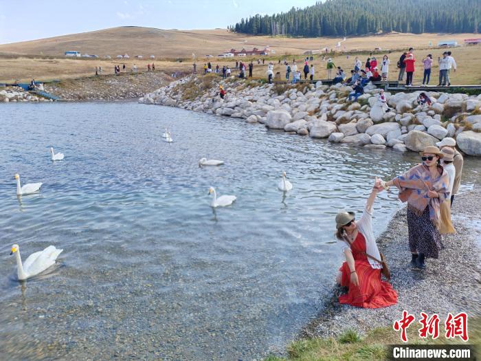 
北京协和医院黄牛代挂号电话票贩子号贩子网上预约挂号,住院检查加快,新疆赛里木湖天鹅舞 秋日风光醉游人
