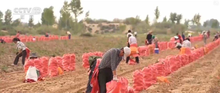 
北大医院黄牛代挂号电话票贩子号贩子网上预约挂号,住院检查加快,“数”看75载现代农业谱新篇