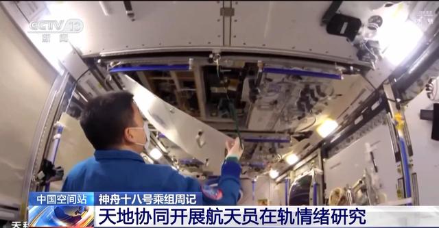 
中国医学科学院肿瘤医院黄牛代挂号电话票贩子号贩子网上预约挂号,住院检查加快,神十八乘组“周记”上新！在轨工作、生活最新进展→
