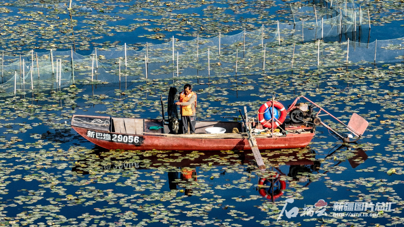 
广州中山三医院黄牛代挂号电话票贩子号贩子网上预约挂号,住院检查加快,中国农民丰收节丨礼赞丰收 天山南北“丰”景如画——写在第七个“中国农民丰收节”到来之际