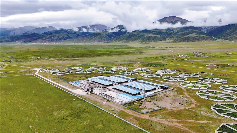 
上海精神卫生中心黄牛代挂号电话票贩子号贩子网上预约挂号,住院检查加快,郭庆：一条路延伸出“牛”日子