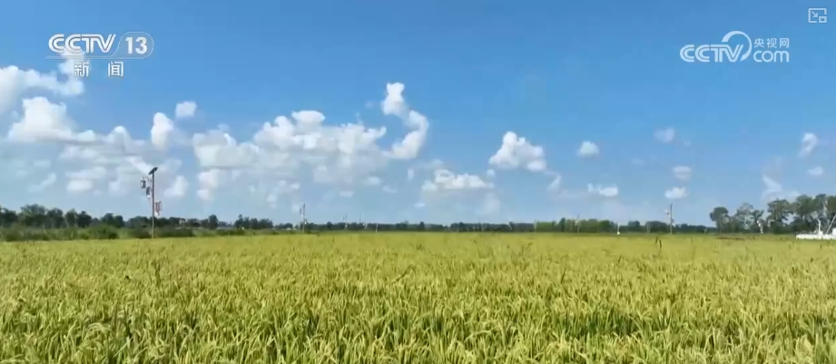 
北大医院黄牛代挂号电话票贩子号贩子网上预约挂号,住院检查加快,“数”看75载现代农业谱新篇