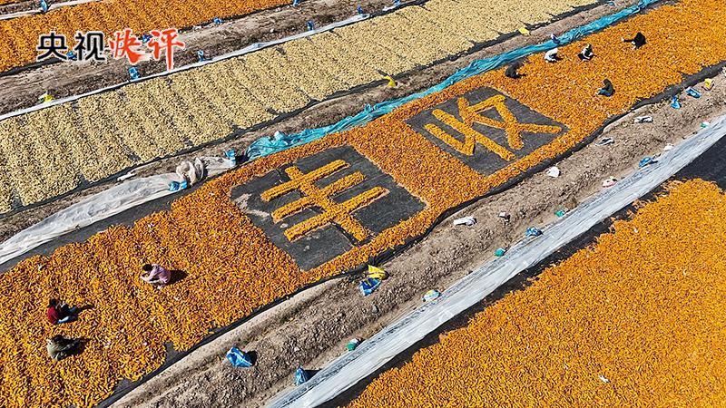 
北医六院黄牛代挂号电话票贩子号贩子网上预约挂号,住院检查加快,央视快评丨把乡村全面振兴的美好蓝图变为现实
