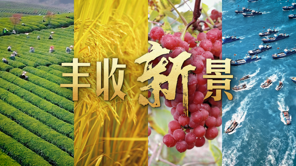 
重庆儿童医院黄牛代挂号电话票贩子号贩子网上预约挂号,住院检查加快,微视频｜丰收新景
