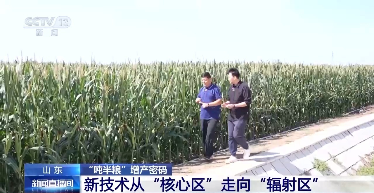 
北京大学第六医院黄牛代挂号电话票贩子号贩子网上预约挂号,住院检查加快,连续三年突破1100亿斤 来看山东“吨半粮”的增产密码