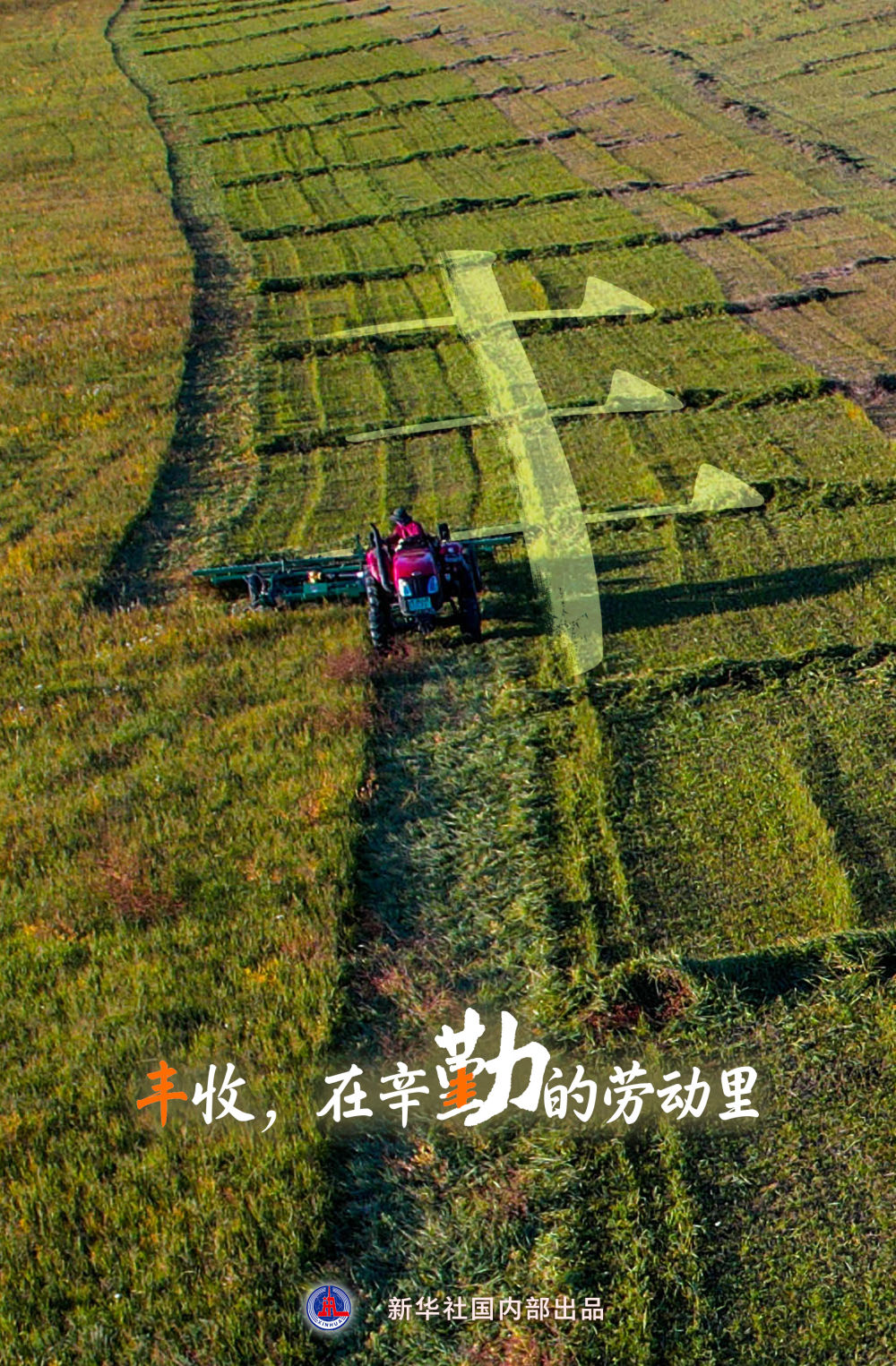 
北京八大处整形医院黄牛代挂号电话票贩子号贩子网上预约挂号,住院检查加快,“丰”收在哪里？