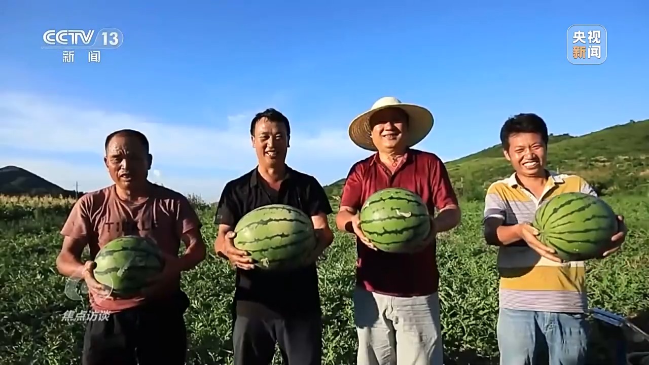
天津肿瘤医院黄牛代挂号电话票贩子号贩子网上预约挂号,住院检查加快,焦点访谈丨盐碱地里种出高产大豆 丰收的“密码”是什么？