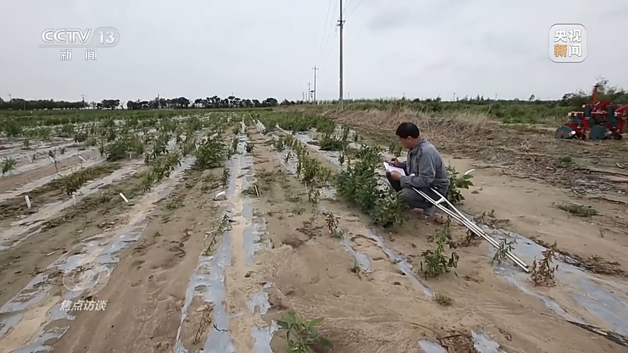 
天津肿瘤医院黄牛代挂号电话票贩子号贩子网上预约挂号,住院检查加快,焦点访谈丨盐碱地里种出高产大豆 丰收的“密码”是什么？