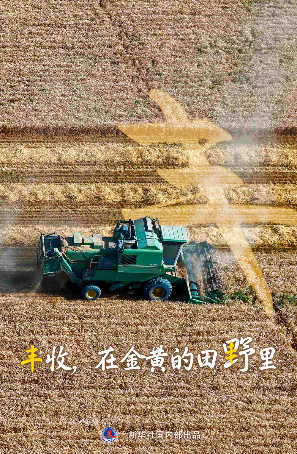 
北京八大处整形医院黄牛代挂号电话票贩子号贩子网上预约挂号,住院检查加快,“丰”收在哪里？