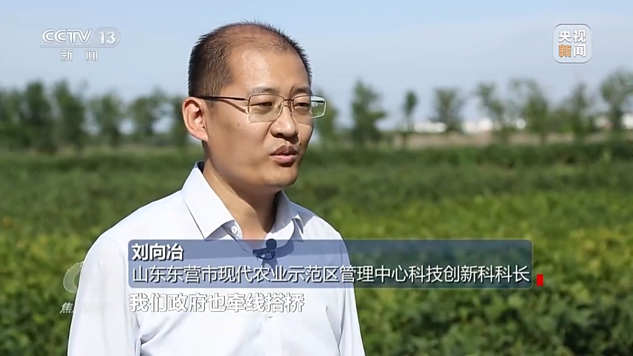 
天津肿瘤医院黄牛代挂号电话票贩子号贩子网上预约挂号,住院检查加快,焦点访谈丨盐碱地里种出高产大豆 丰收的“密码”是什么？
