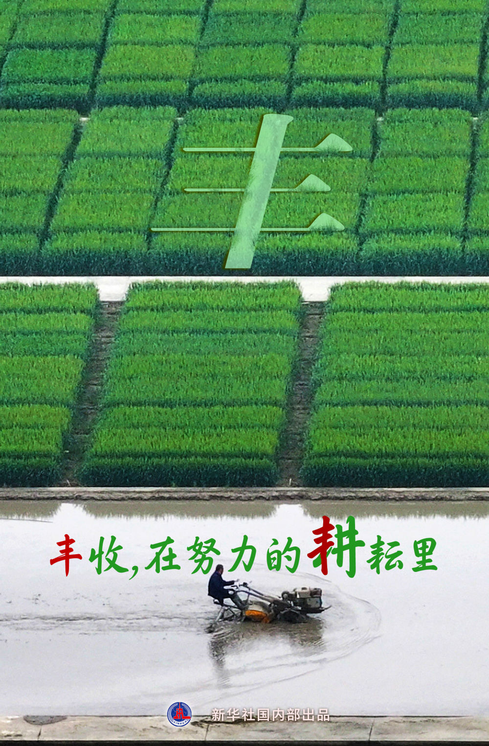 
北京八大处整形医院黄牛代挂号电话票贩子号贩子网上预约挂号,住院检查加快,“丰”收在哪里？