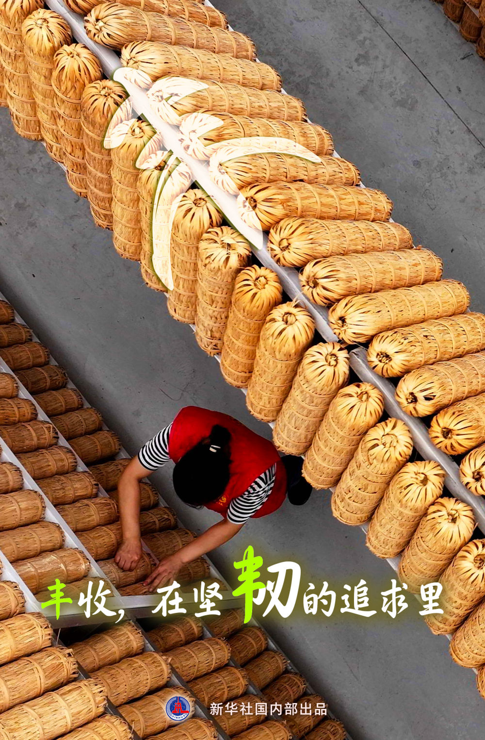 
北京八大处整形医院黄牛代挂号电话票贩子号贩子网上预约挂号,住院检查加快,“丰”收在哪里？