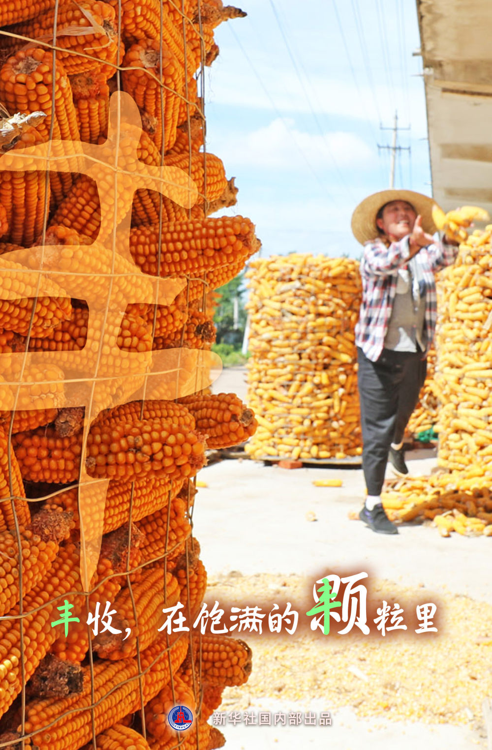 
北京八大处整形医院黄牛代挂号电话票贩子号贩子网上预约挂号,住院检查加快,“丰”收在哪里？
