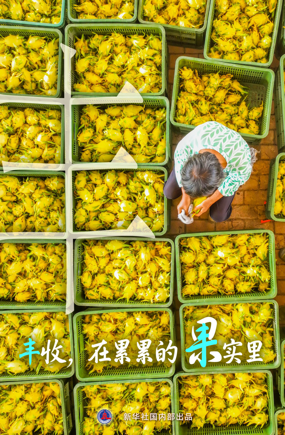 
北京八大处整形医院黄牛代挂号电话票贩子号贩子网上预约挂号,住院检查加快,“丰”收在哪里？