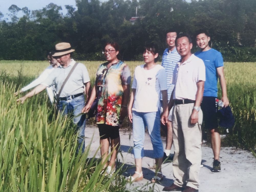 
北京中医院黄牛代挂号电话票贩子号贩子网上预约挂号,住院检查加快,镜观·回响｜永丰稻田又迎丰