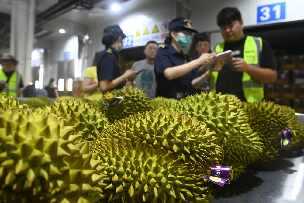 
长春吉大一院黄牛代挂号电话票贩子号贩子网上预约挂号,住院检查加快,镜观·回响丨为促进同东盟合作注入新动力