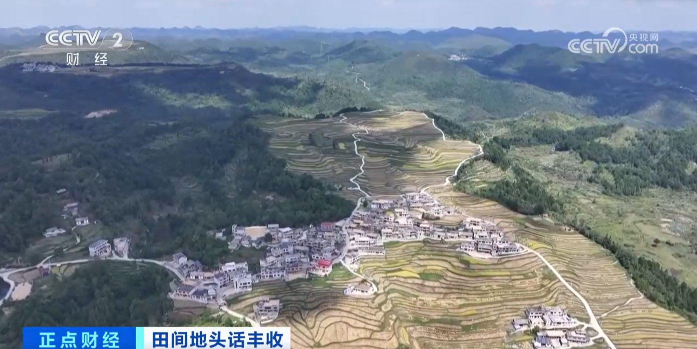 
北京中日友好医院黄牛代挂号电话票贩子号贩子网上预约挂号,住院检查加快,秋收正当时！新质生产力赋能农业生产 绘就金秋好“丰”景