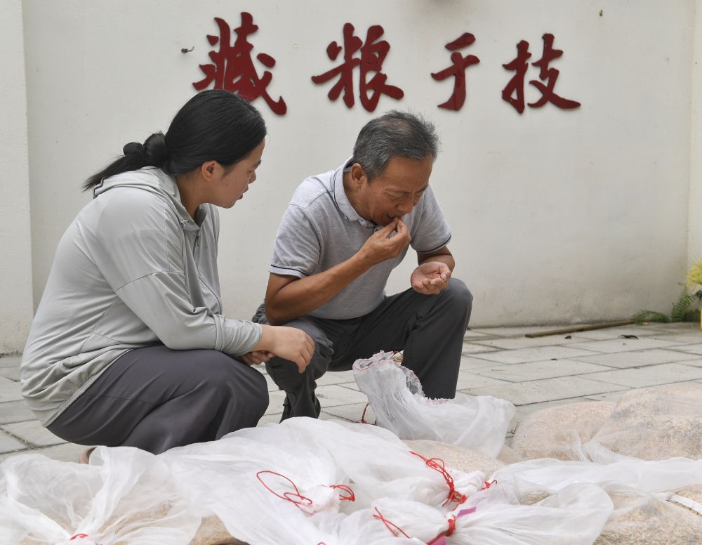 
北京中医院黄牛代挂号电话票贩子号贩子网上预约挂号,住院检查加快,镜观·回响｜永丰稻田又迎丰