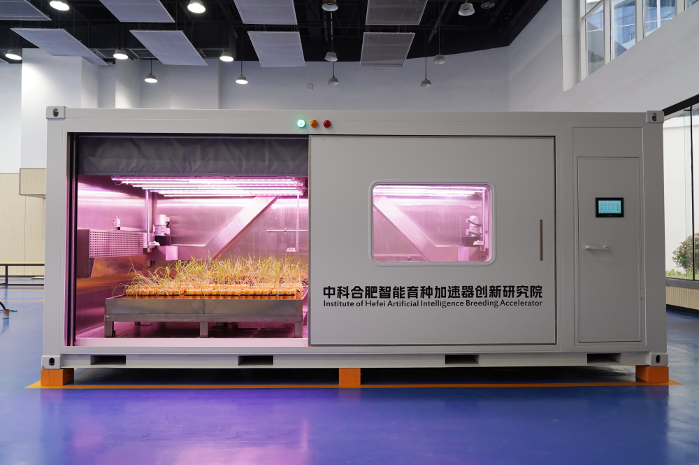 
南京市口腔医院黄牛代挂号电话票贩子号贩子网上预约挂号,住院检查加快,探源科技文化长河｜从躬耕农桑到智能育种，一“种”力量不断生长