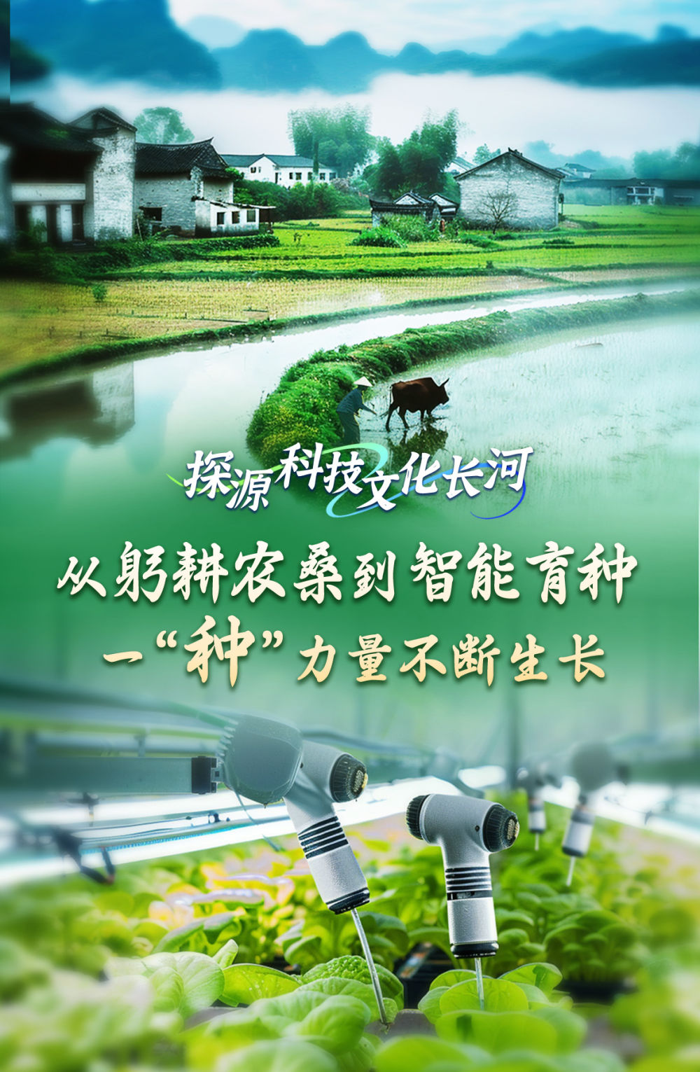 
南京市口腔医院黄牛代挂号电话票贩子号贩子网上预约挂号,住院检查加快,探源科技文化长河｜从躬耕农桑到智能育种，一“种”力量不断生长