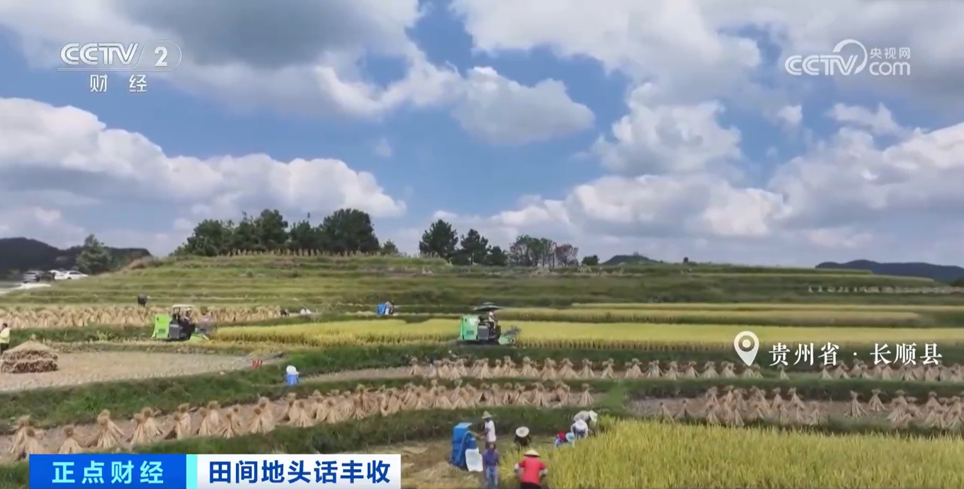 
北京中日友好医院黄牛代挂号电话票贩子号贩子网上预约挂号,住院检查加快,秋收正当时！新质生产力赋能农业生产 绘就金秋好“丰”景